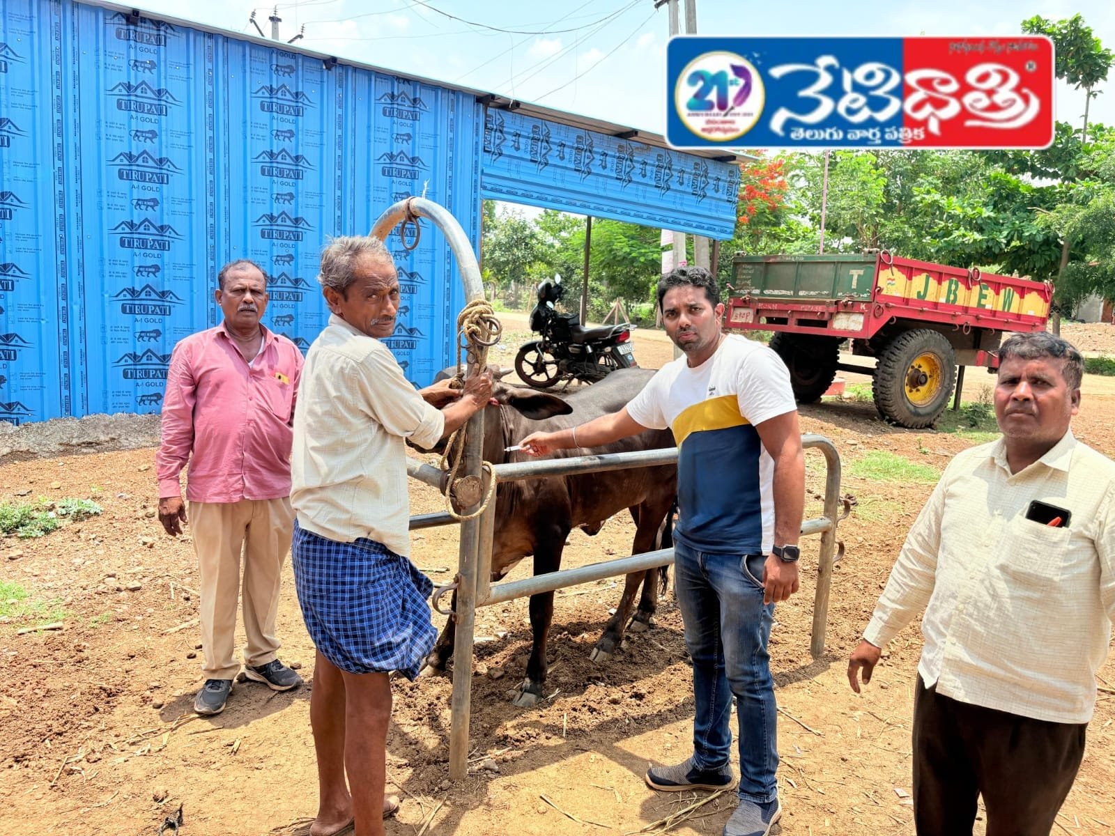 ముద్ద చర్మ వ్యాధి.