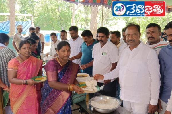 provide food