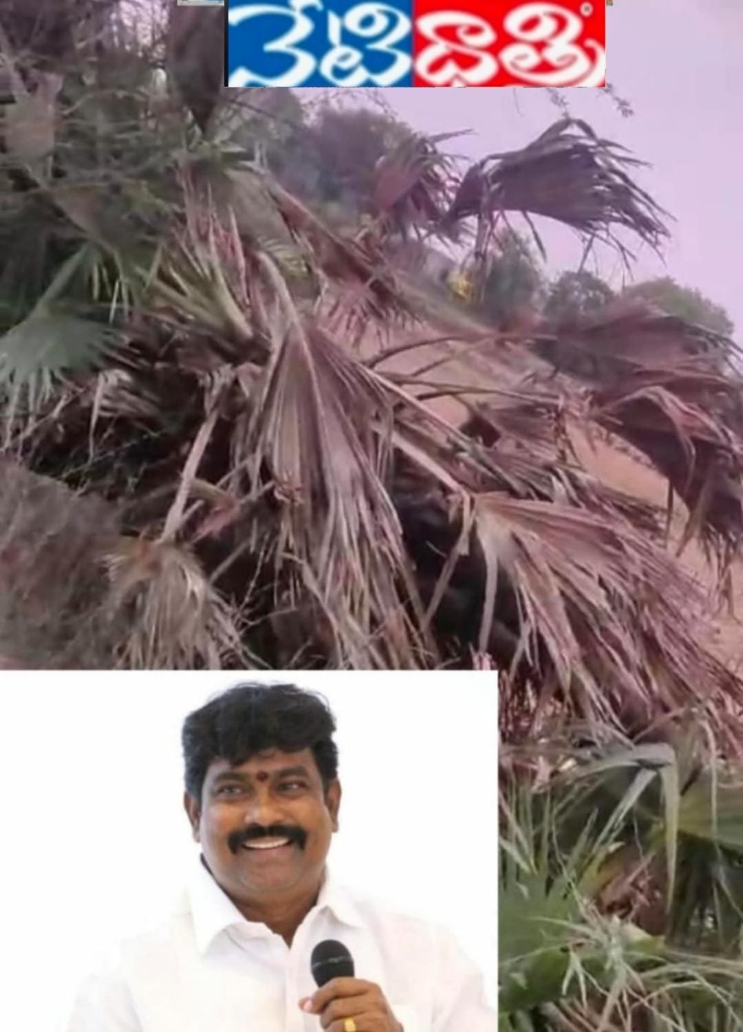 తాటి చెట్లను జేసీబీతో తొలగించిన దుండగులపై.!