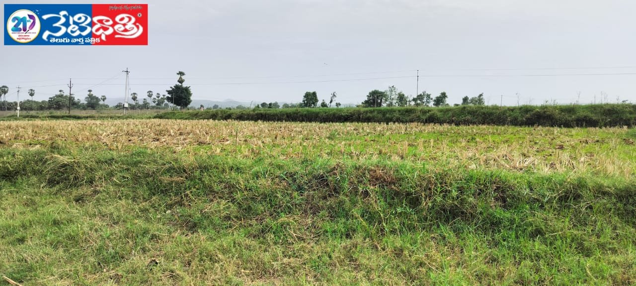 అధికారులు మారుతున్న ఆగని కబ్జా.