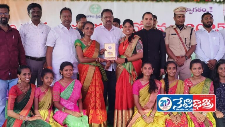 State Forest Development Corporation.
