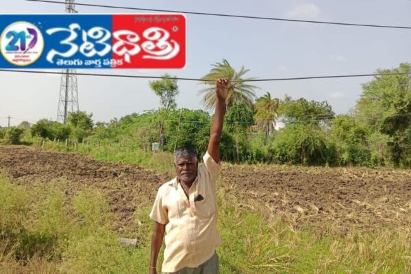 యమపాశాలుగా 11 కెవి విద్యుత్ వైర్లు. Electric Wires.