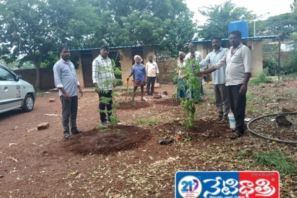 Environment Day