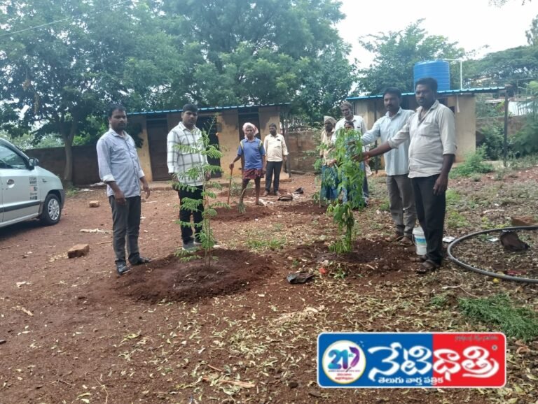 Environment Day