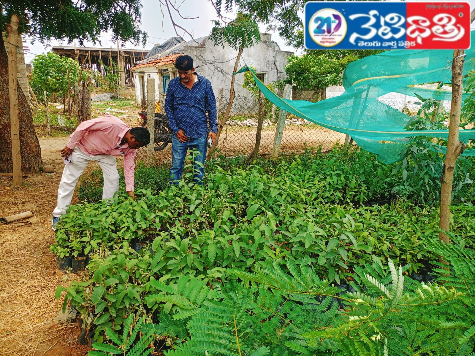 MPO Sripathi Babu Rao