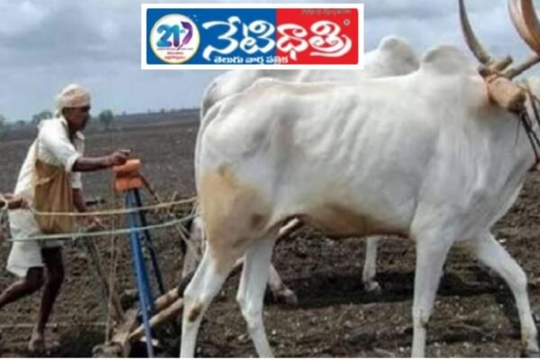 Agricultural Work.