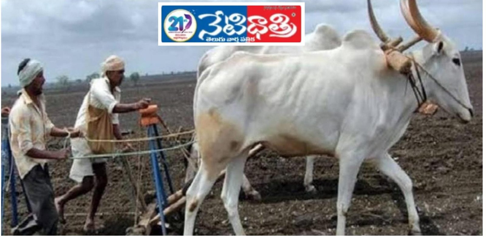Agricultural Work.