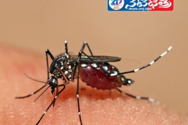 Lurking seasonal diseases
