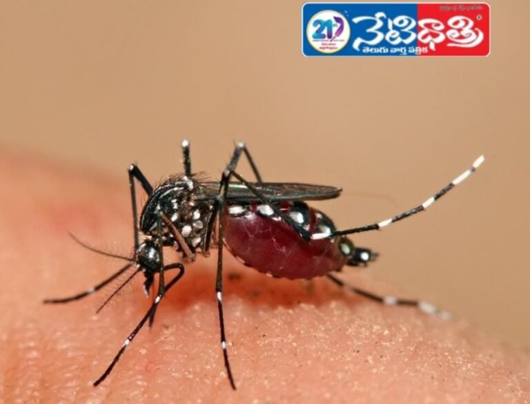 Lurking seasonal diseases