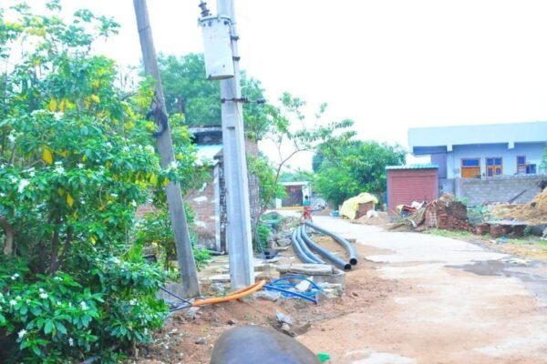 కరెంటు షాక్ తో గేదె మృతి. Electric shock