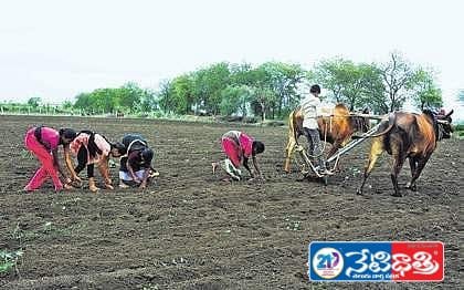 Farmers