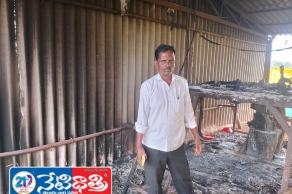 కోళ్ల పాము నిప్పు పెట్టిన వారి పై చర్యలు తీసుకోవాలి. Chicken Snake