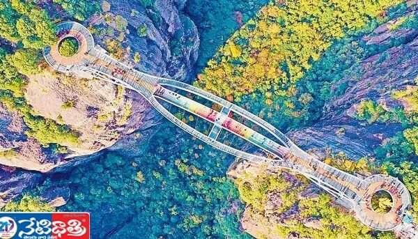 Bridge