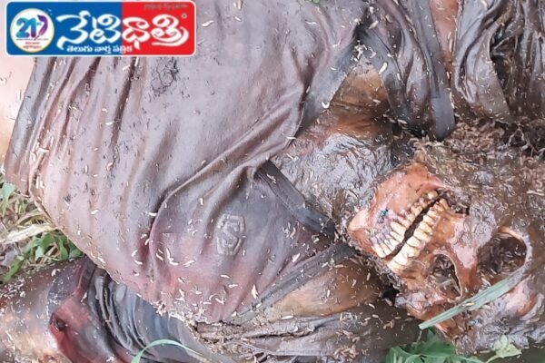 కోహీర్: కుళ్లిన శవం లభ్యం. Kohir