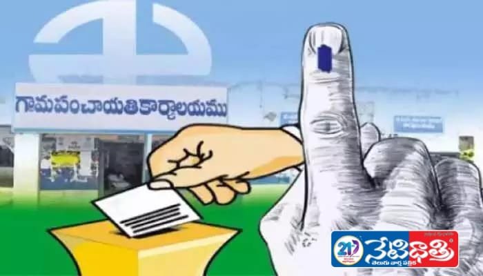 Elections