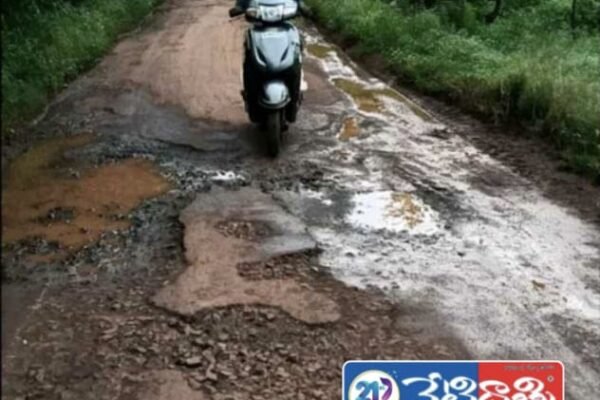 పాడైన రోడ్డు పట్టించుకోని ప్రభుత్వం. Damaged Road