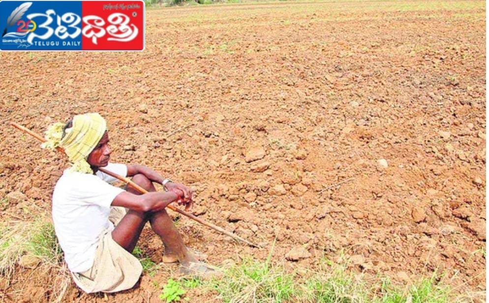 Farmers
