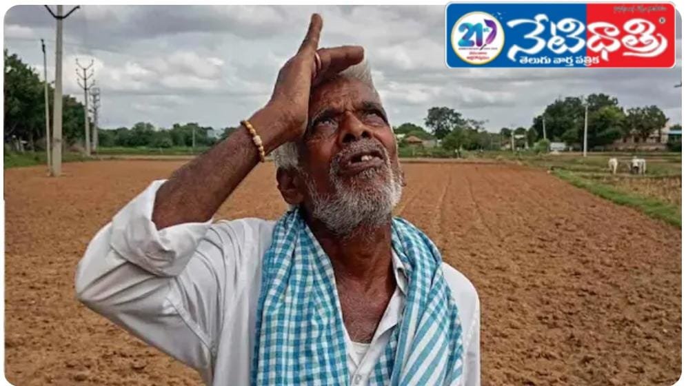 Farmer