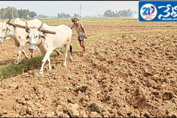 Farmer