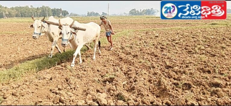 Farmer