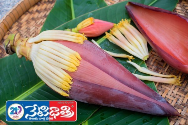 Banana Flower
