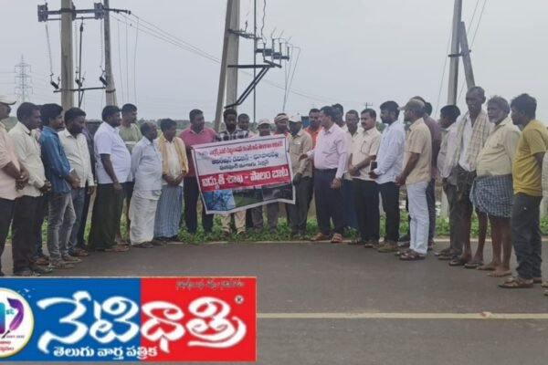 Electricity Department