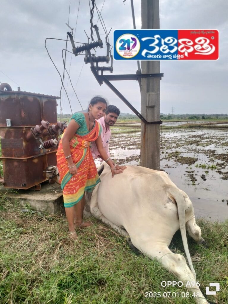 WhatsApp Image 2025-07-01 at 17.35.15