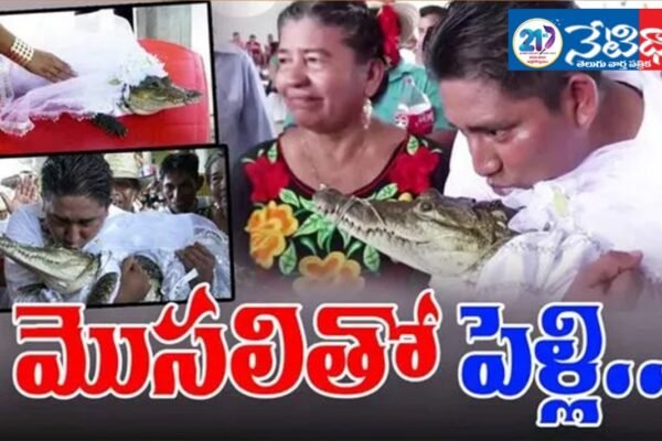 Married a Crocodile.