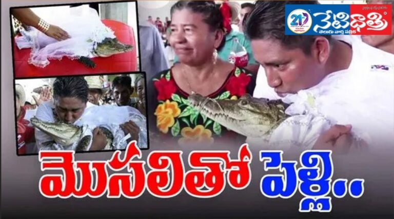 Married a Crocodile.