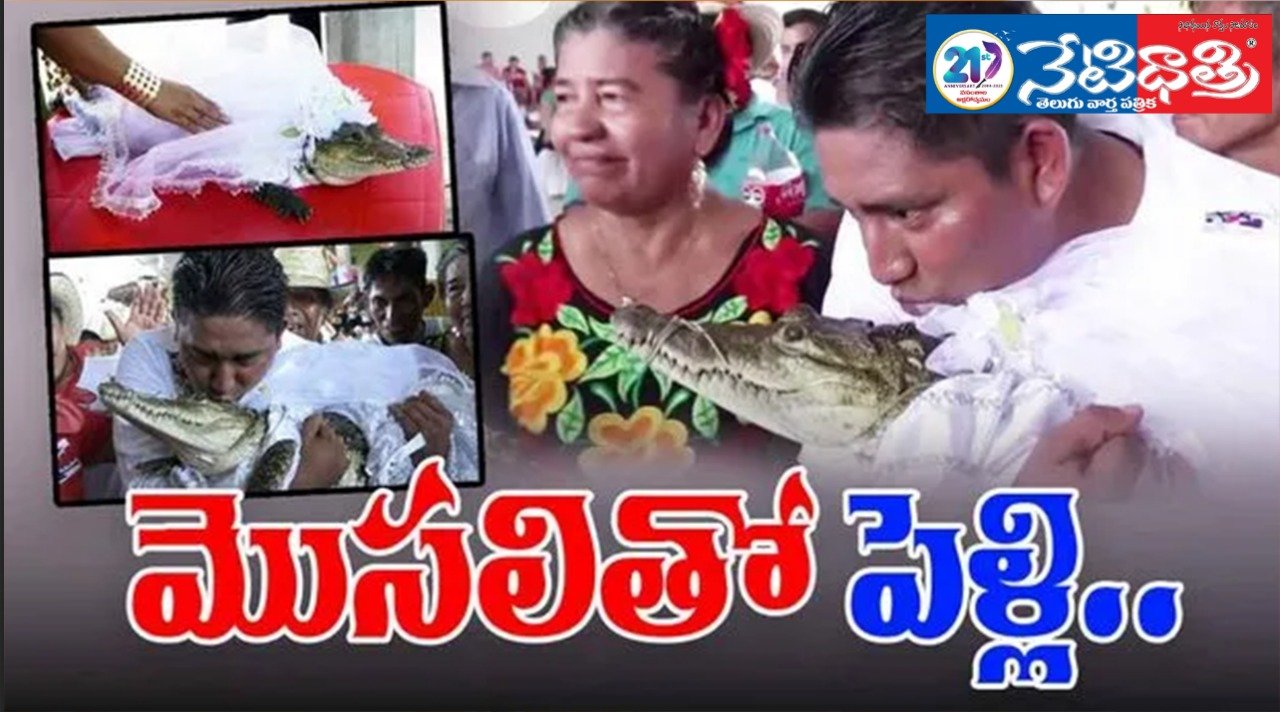 Married a Crocodile.