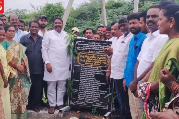 MLA Donthi