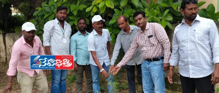 International Year of Cooperatives