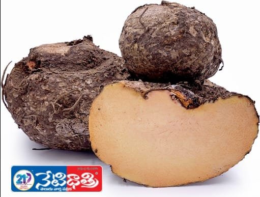 Suvarna gadde