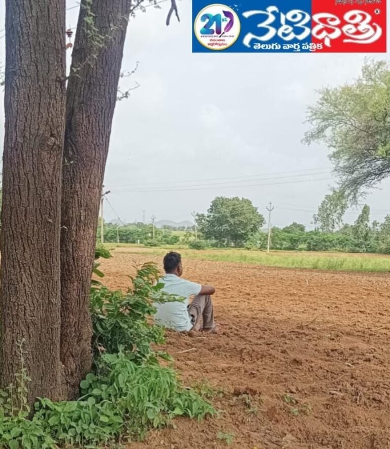 WhatsApp Image 2025-07-07 at 1.20.22 PM