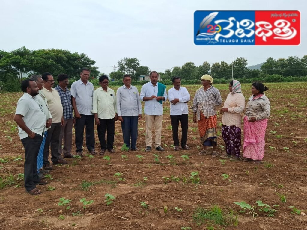 The implementation of the PDPS system for purchasing cotton in the place of the Cotton Corporation of India (CCI) should be discontinued.