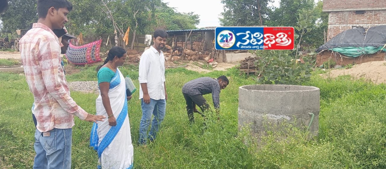 పారిశుద్ధ్యం పై ప్రత్యేక దృష్టి.