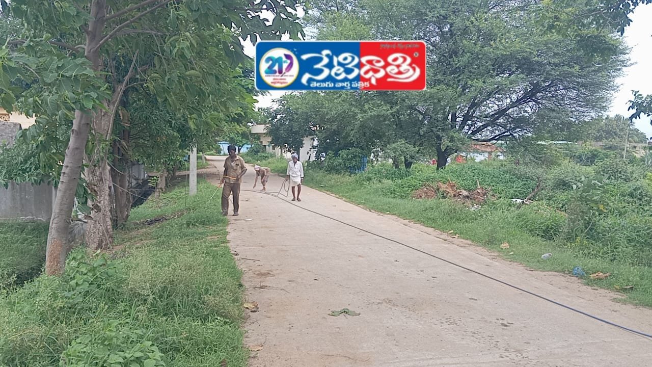 సీజనల్ వ్యాధులపై ప్రత్యేక దృష్టి.