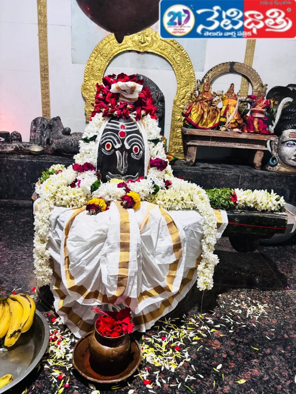 Rudrabhishekam puja