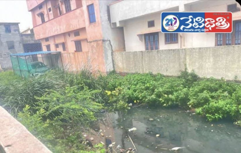 పడకేసిన పారిశుద్ధ్యం..