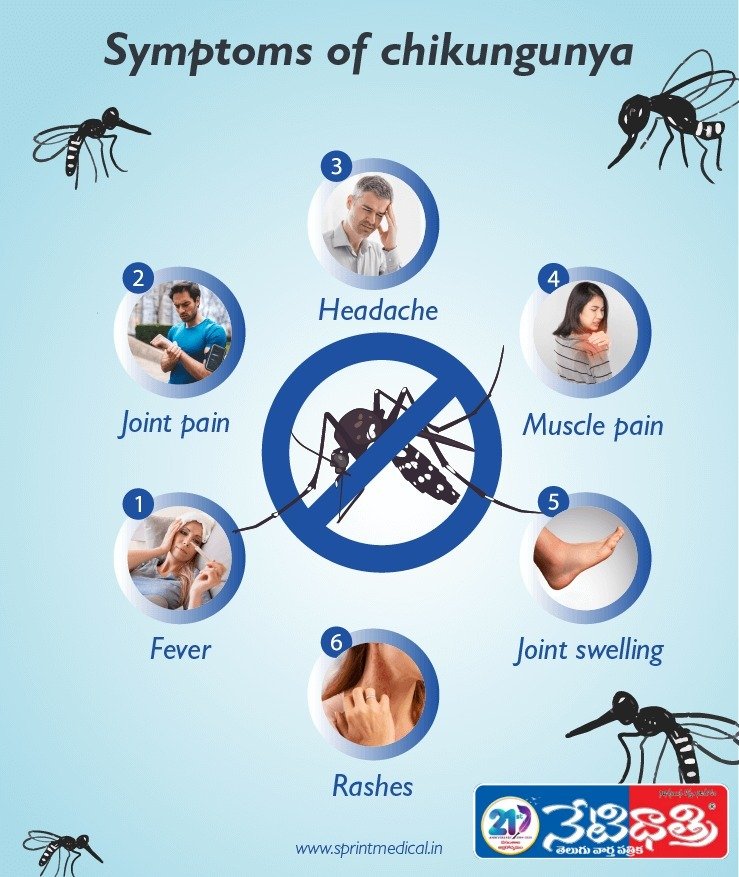 Chikungunya