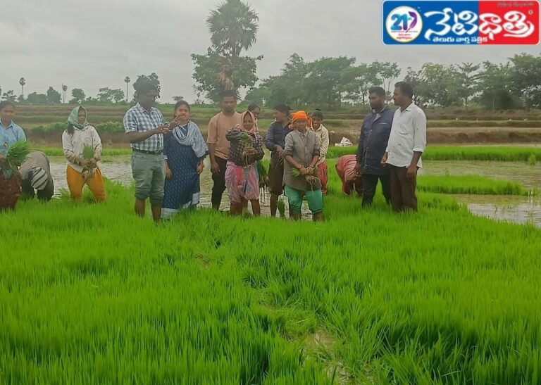 farmers