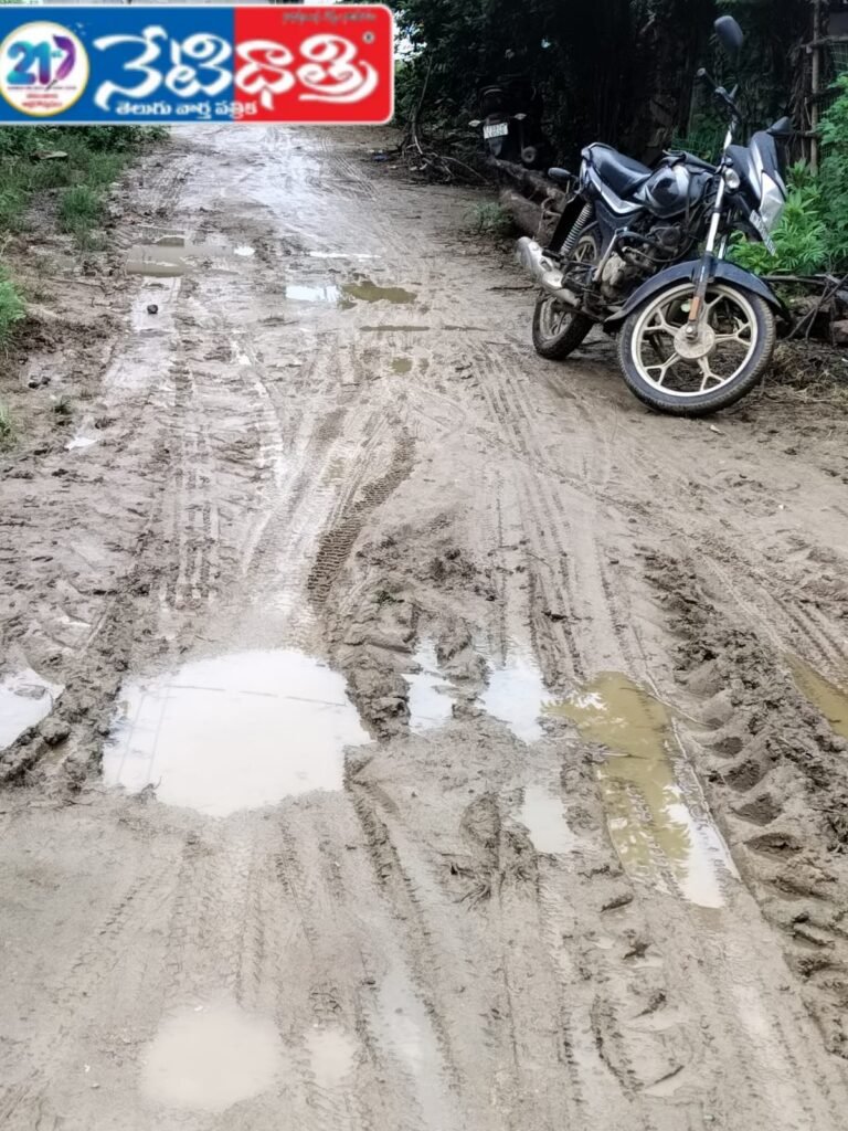 Amdali CC Road