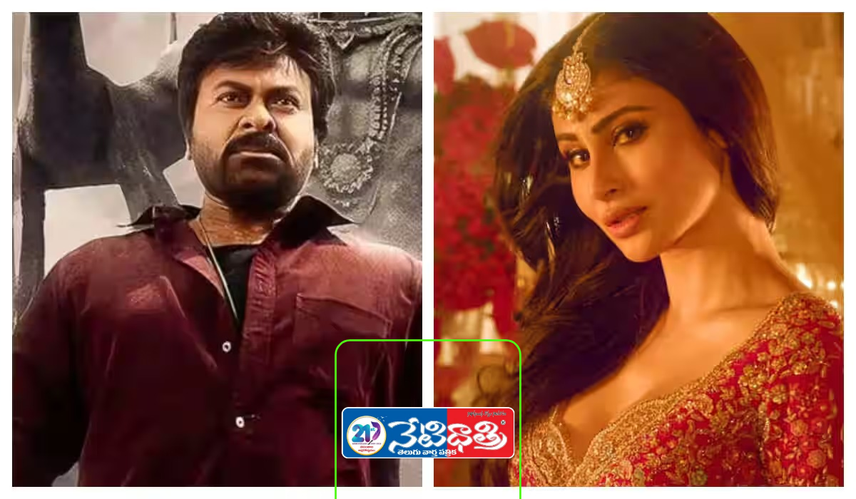 మెగా మాస్‌….