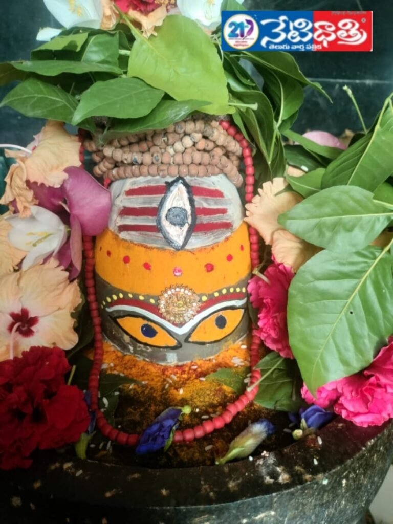 WhatsApp Image 2025-08-04 at 2.53.30 PM