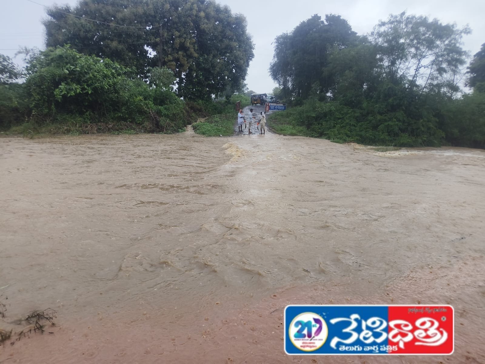 ప్యాలవారం లో దంచికొట్టిన వాన..