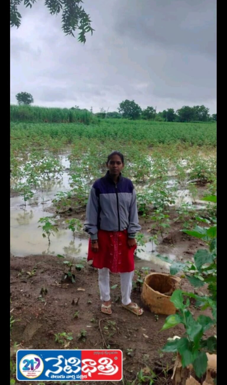 Crop Damage Due to Heavy Rains