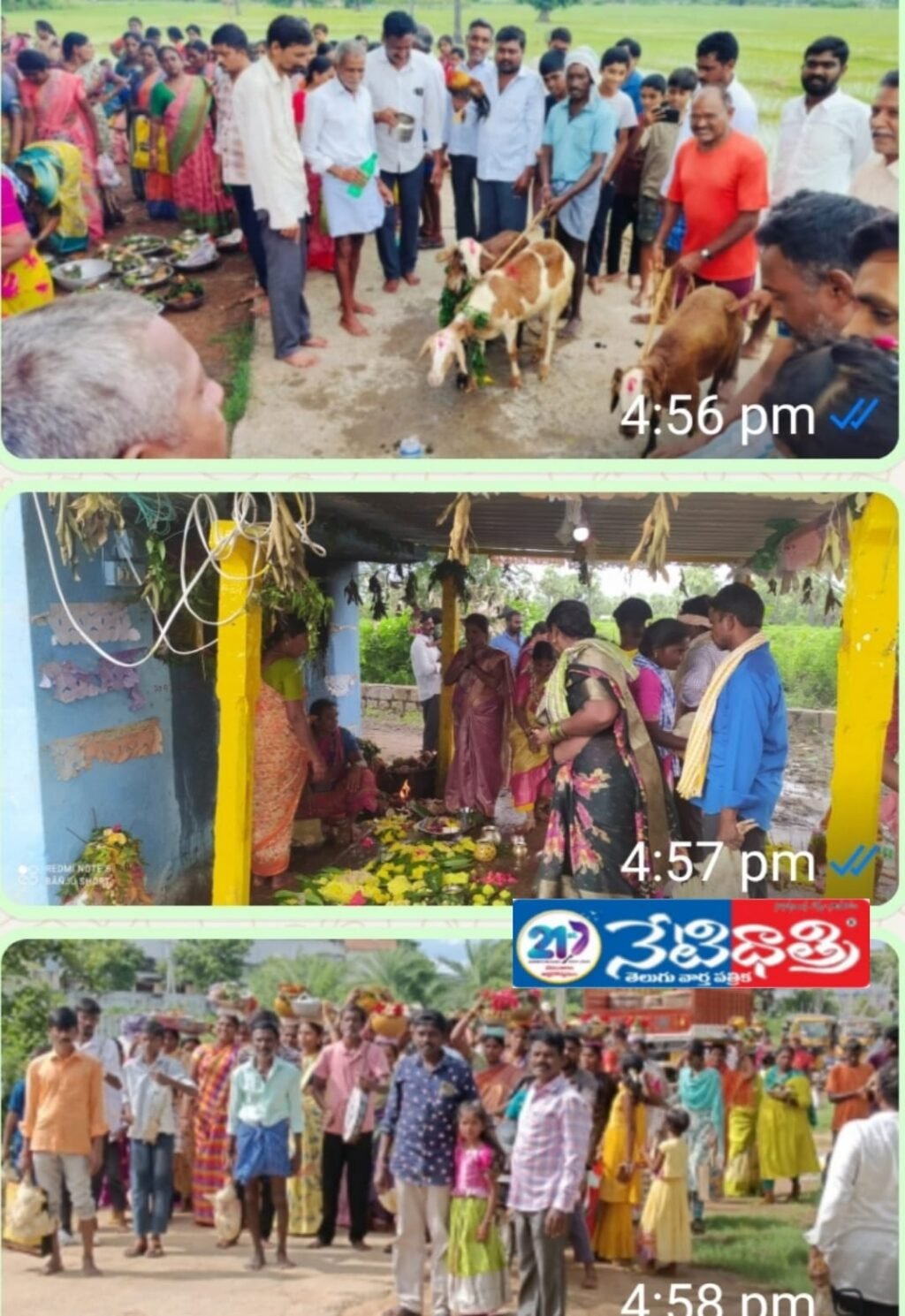 WhatsApp Image 2025-08-20 at 17.03.57