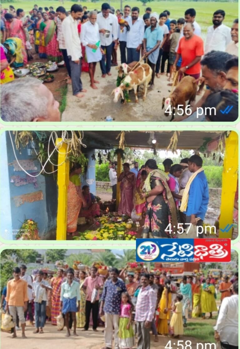 WhatsApp Image 2025-08-20 at 17.03.57