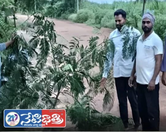 Villagers Protest Hazardous Madri Road in Warangal