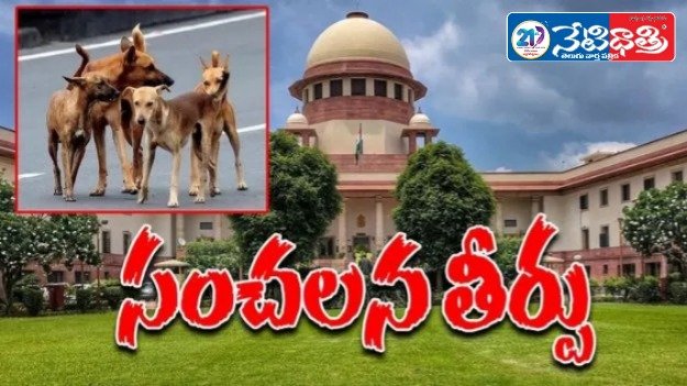 Supreme Court’s Key Verdict on Street Dogs